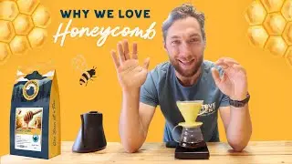 NEW 🐝 Honeycomb COFFEE! (Honey Processed Java Varietal)