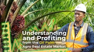 Unlock Passive Income Invest in Oil Palm Estates for Long-Term Wealth