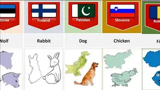 Countries Map That Look like Animals And Things || Funny Comparison