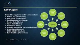 Baby Stroller Market Report 2024 - HTFMI