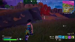 Fortnite_20251029221416