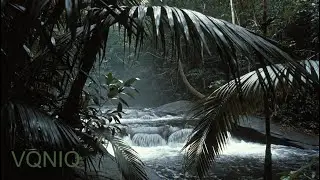 VQNIQ &ndash; HIDDEN JUNGLE FALLS&ndash;4K 1 Hour Waterfalls in Jungle Ambient Music Video 2026