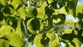 ##non traditional yoga music, modern yoga music.......