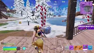 FORTNITE GIRL PTY