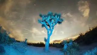 Sahara #desert #amazing #nature HD Creative