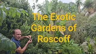 The Exotic Gardens of Roscoff #subtropical #adventure #explore #gardening #permaculture #ideas #sea