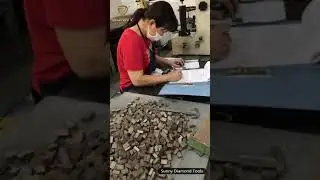 Inspection of diamond segments