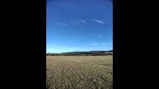 Align TB60 DD 1. Testflug mit Riemenrad ABS