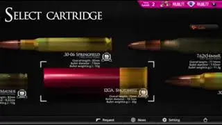 Magnum 3.0 Gun Custom Simulator 279