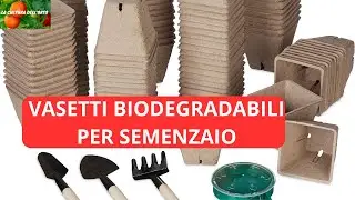Semenzaio Pomodori fatto in casa. Vasetti Biodegradabili, acquisto Amazon.