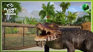 🐊Caiman Cove | 🌊Stop Motion Aquatic Pack Project | Planet Zoo