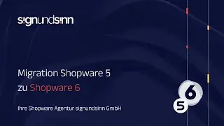 Shopware 5 Migration zu Shopware 6