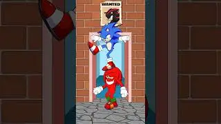POV SCAN RUN Challenge with Sonic - Help FIND Shadow vs Amy and Knuckles