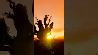 I Survived Extreme Desert Conditions