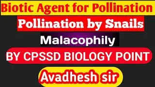 Pollination by Snails ll Pollination by Biotic Agents ll Malacophily ll By Avadhesh Sir 