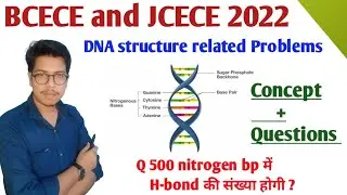 Bihar bcece 2022 important questions | jharkhand paramedical 2022 important questions | bcece 2022