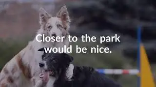 Doggy Dog World...get a dog friendly real estate broker #reootx