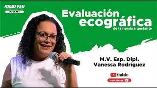 Veterinary ultrasound evaluation - Dr. Vanessa Rodr&iacute;guez
