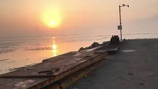 Sewri Flamingo Point