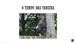 Tempo e disciplina de trabalho