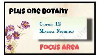 Plus one Botany focus area class Chapter Mineral nutrition