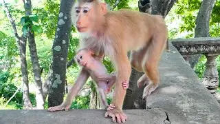 Little baby NIKO tries to hugs his mother almost fells down - when Mom walk wait gets food from guy