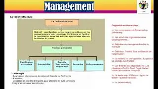 La technostructure et l'idéologie selon Mintzberg (Management)