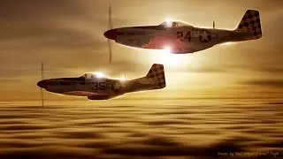 The Last Voices of the Checkertail Clan -  A film by Neil Pugh