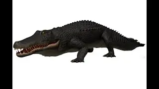 Alligator animation demo