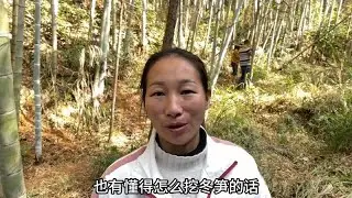 多年挖冬笋老师傅果然没骗人，按照他说的这种方法，真的能挖到笋