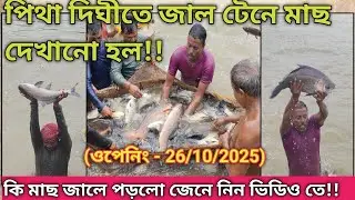 পিথা দিঘীতে জাল টেনে মাছ দেখানো হল|Fish Show At Pitha Dighi
