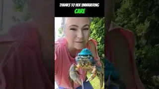 Crab to the Rescue: How One Girl Saved a Crabby Life #shorts