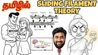 Sliding Filament Theory | Easy Explanation for Medical & Physiotherapy students/ muscle contraction 