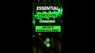Shorts-Show Interface description-Cisco IOS