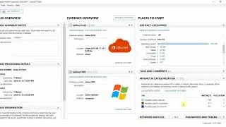 Magnet AXIOM Cyber - Corporate Fraud Investigation