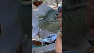 Painting my Black Crappie Wood Carving
