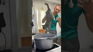 Как приготовить кота дома.#юмор #shorts (приколы)