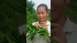#bodochannel #funny #bodoflime #foodclips #bodocommunity #love #bodocommunity #ramsungthuthang