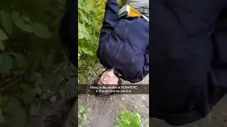 Кто-нибудь умный, пожалуйста, переведите 🙏🏻