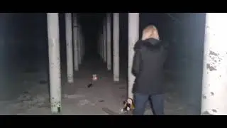 Did we captured a Spirit on A Walkie Talkie