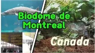 Best place to visit in Montreal - Biodome Montreal #nature #montreal