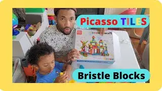 Building Blocks for kids - Picasso Bristle Blocks