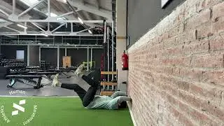 Wall Supportes Dead Bug (ESP)
