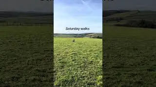 Saturday walks #vlog #familytime