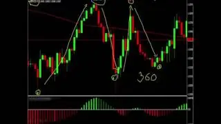 live forex signals without registration Daily Pips Machine