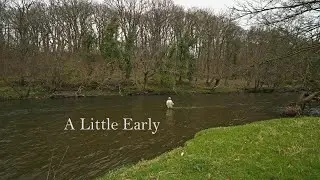 A Little Early  #flyfishing #riverfishing #trout