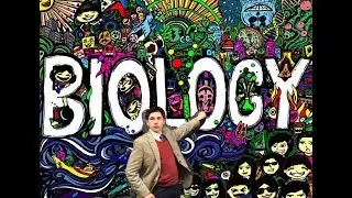 Biology SOL Review in One Take