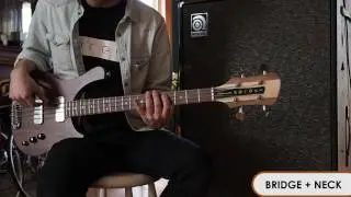 Thunderbucker Ranch Bass Pickup Demo: The 66 Series - Serek Basses