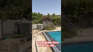 🌳 Plant Trimming Day | Outdoor Garden Maintenance #construction #plants #youtubeshorts #trending