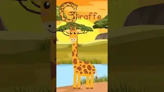 A to Z English Animals alphabet letters, G is for Giraffe, fun animal facts about Giraffes